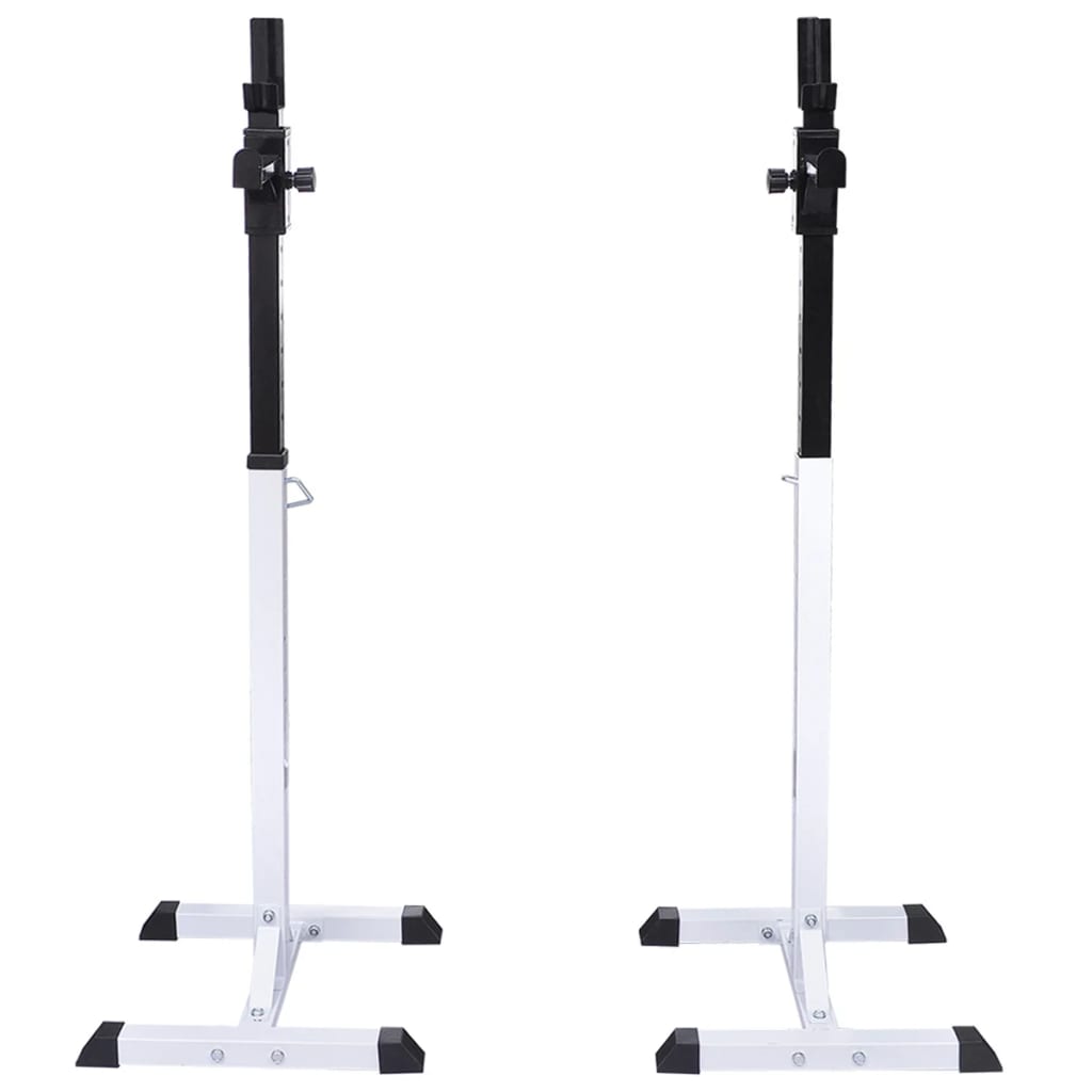 Kyykkyteline painotangolla + levy- ja käsipainosarja 60,5 kg