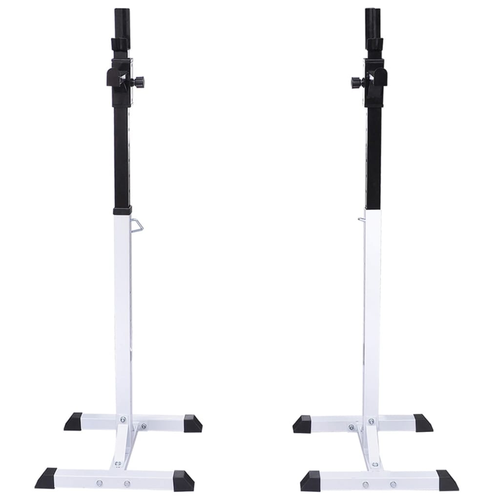 Kyykkyteline painotangolla + levy- ja käsipainosarja 30,5 kg