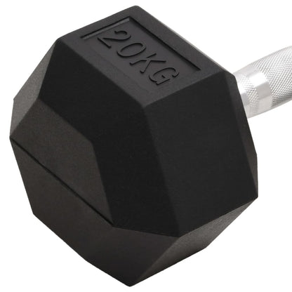 Käsipaino 20 kg valurauta